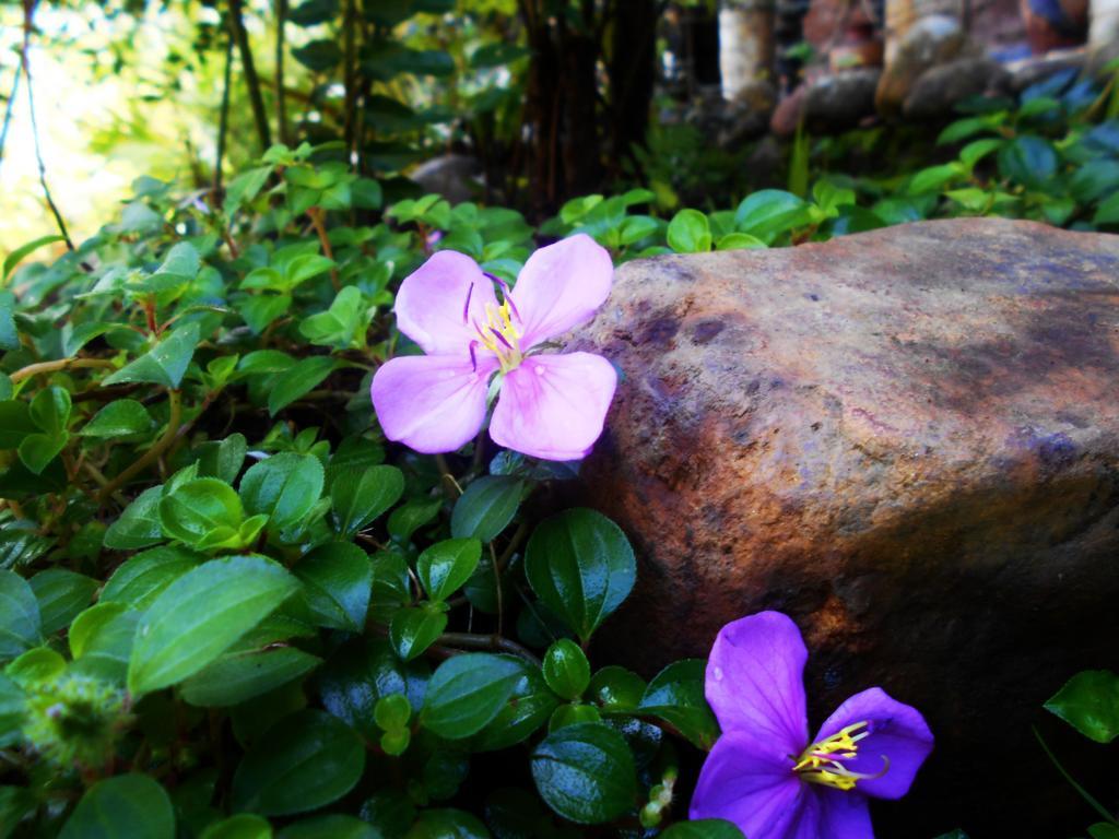 Sapphire Holiday Resort Ratnapura Luaran gambar