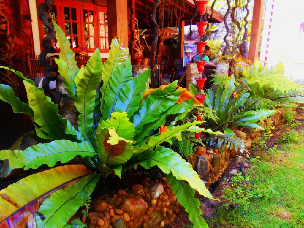Sapphire Holiday Resort Ratnapura Luaran gambar