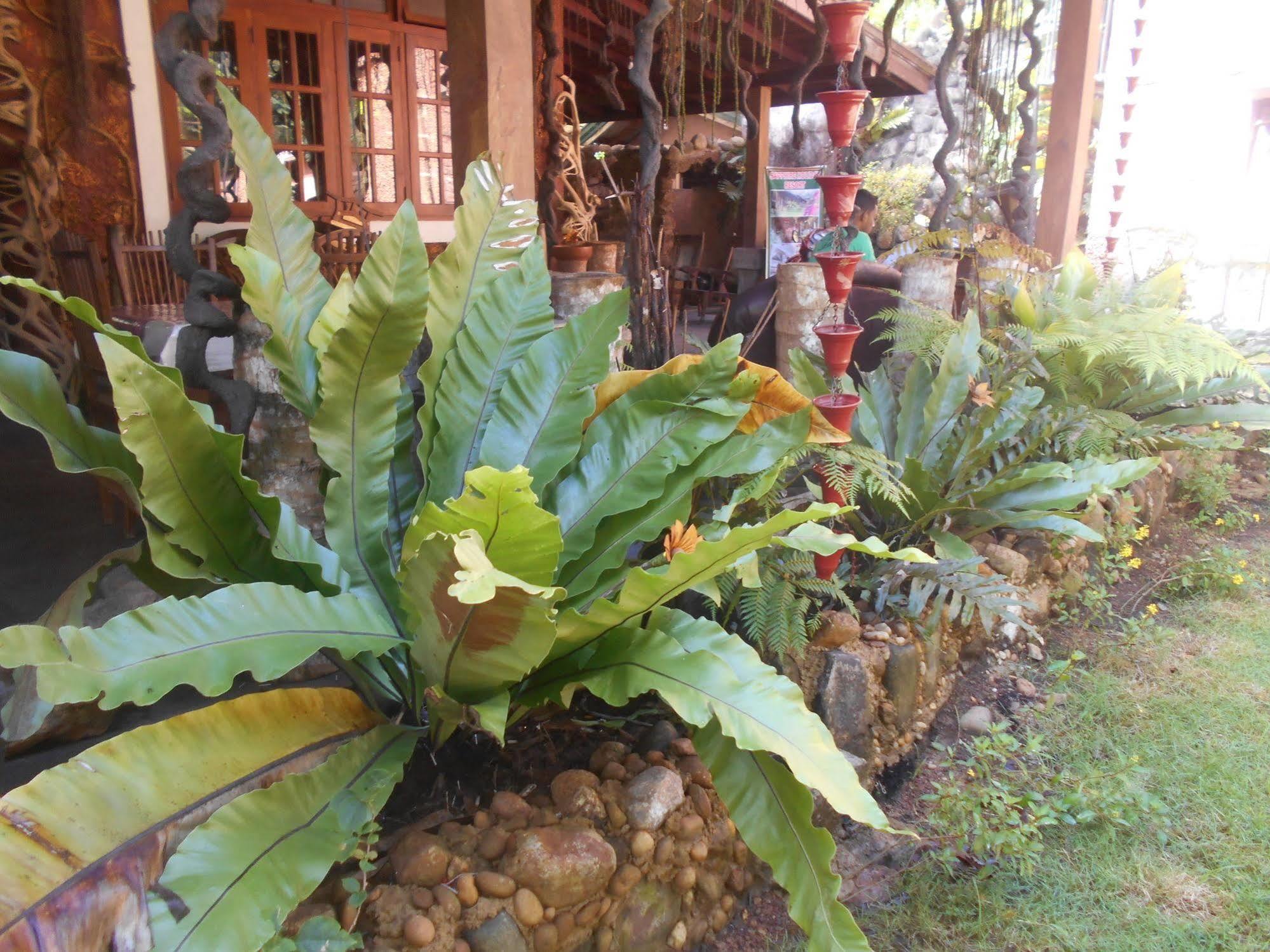 Sapphire Holiday Resort Ratnapura Luaran gambar