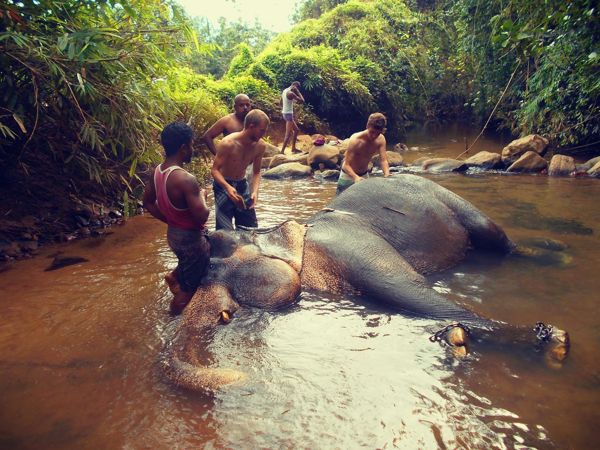 Sapphire Holiday Resort Ratnapura Luaran gambar