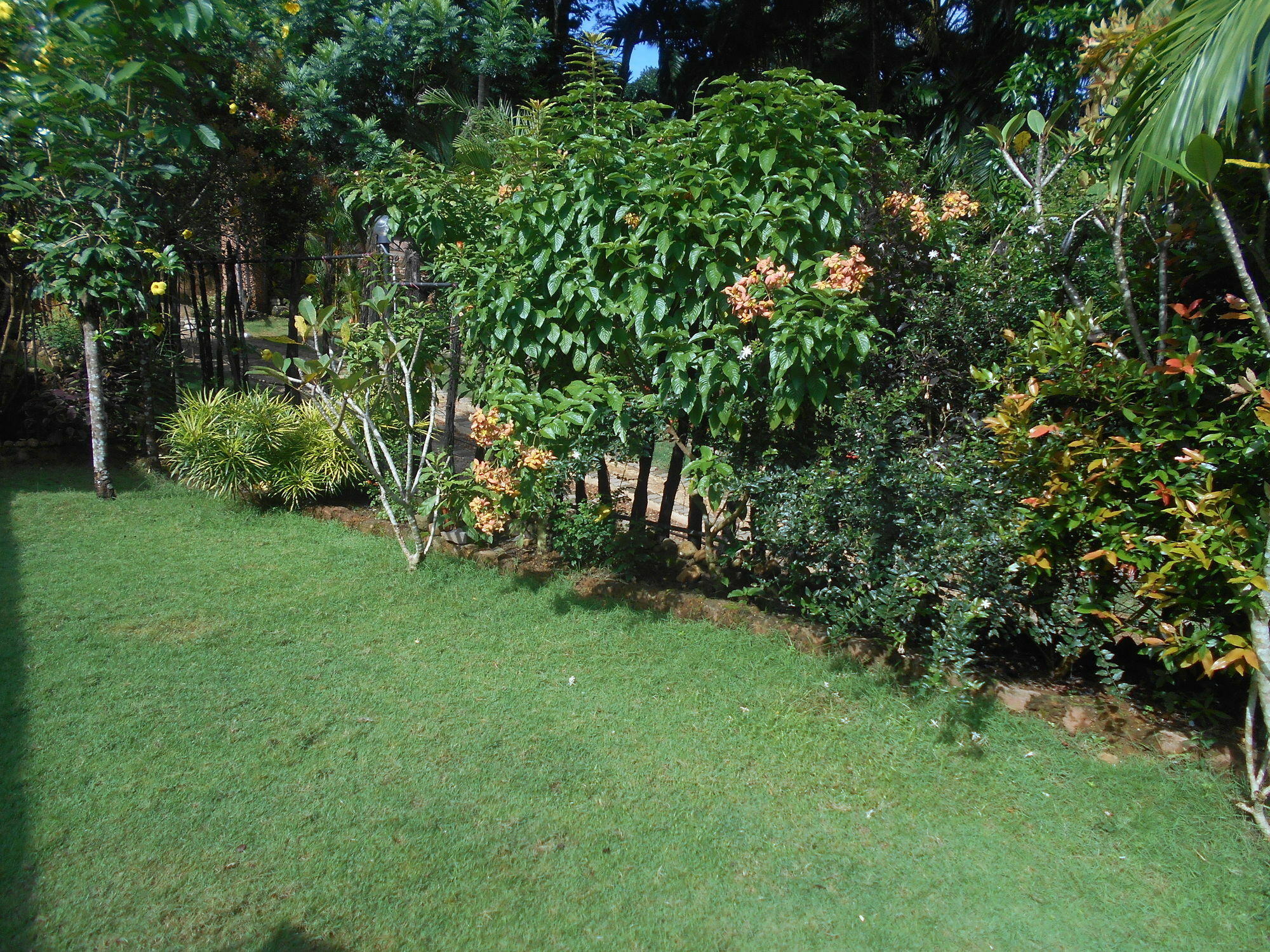 Sapphire Holiday Resort Ratnapura Luaran gambar